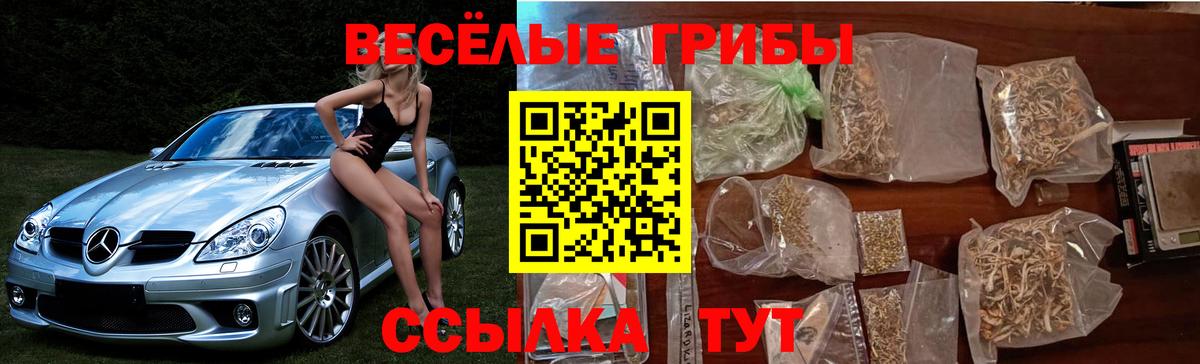Вичуга  наркошоп  Вход с VPN  Галлюциногенные грибы Cubensis 